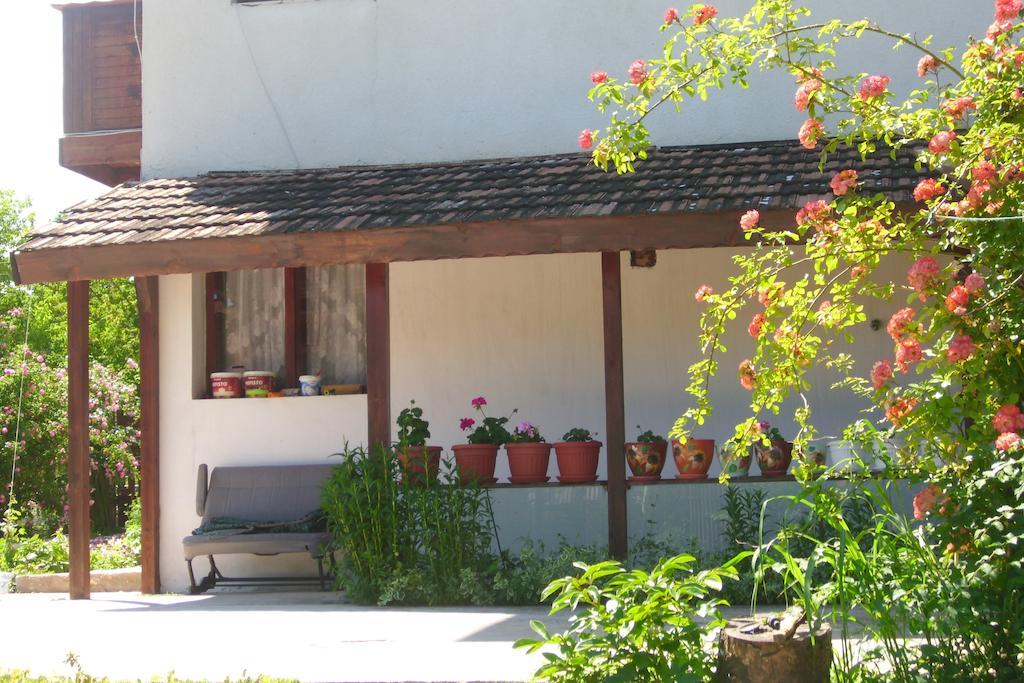 Elida Guest House Shabla Extérieur photo
